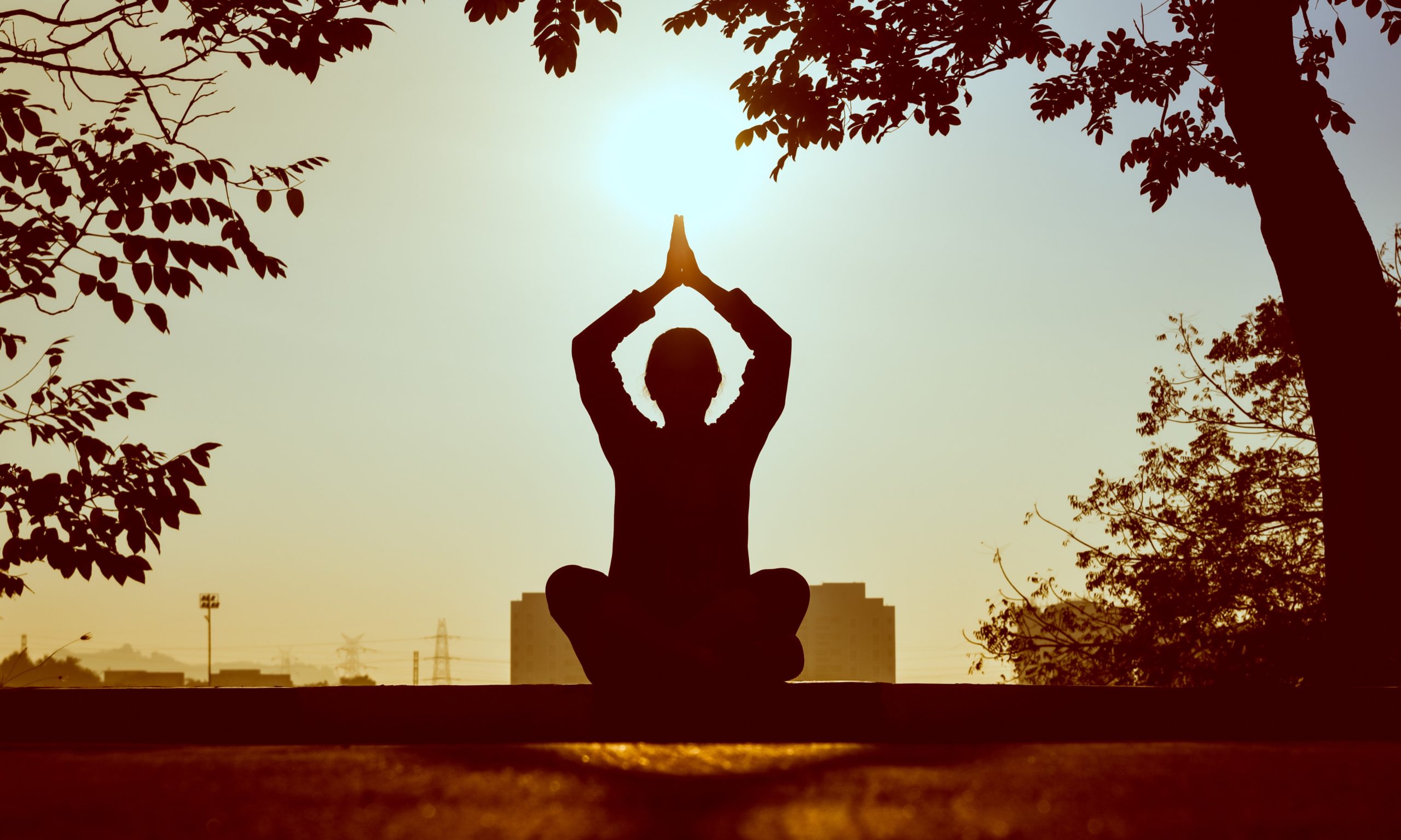 Can Meditation Help Weight Loss