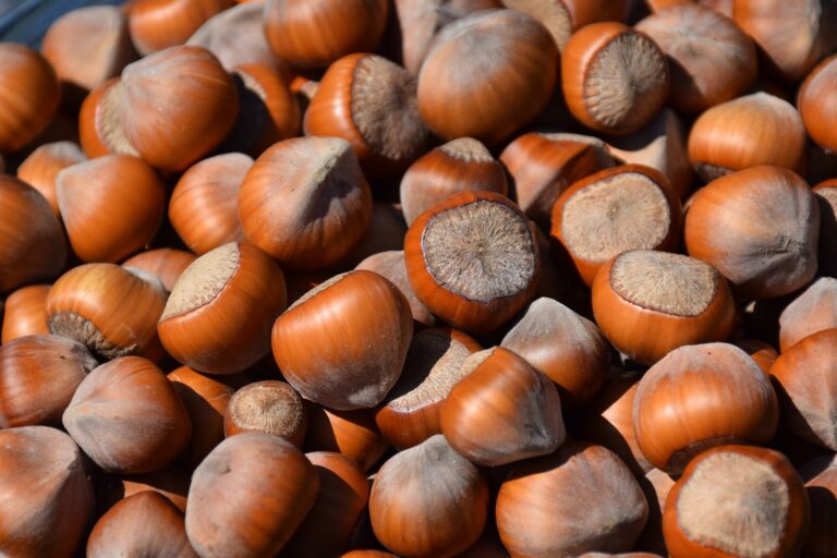 Are Hazelnuts (Filberts) Good For Weight Loss