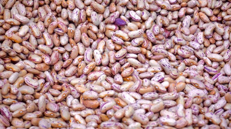 Are Pinto Beans Good For Weight Loss