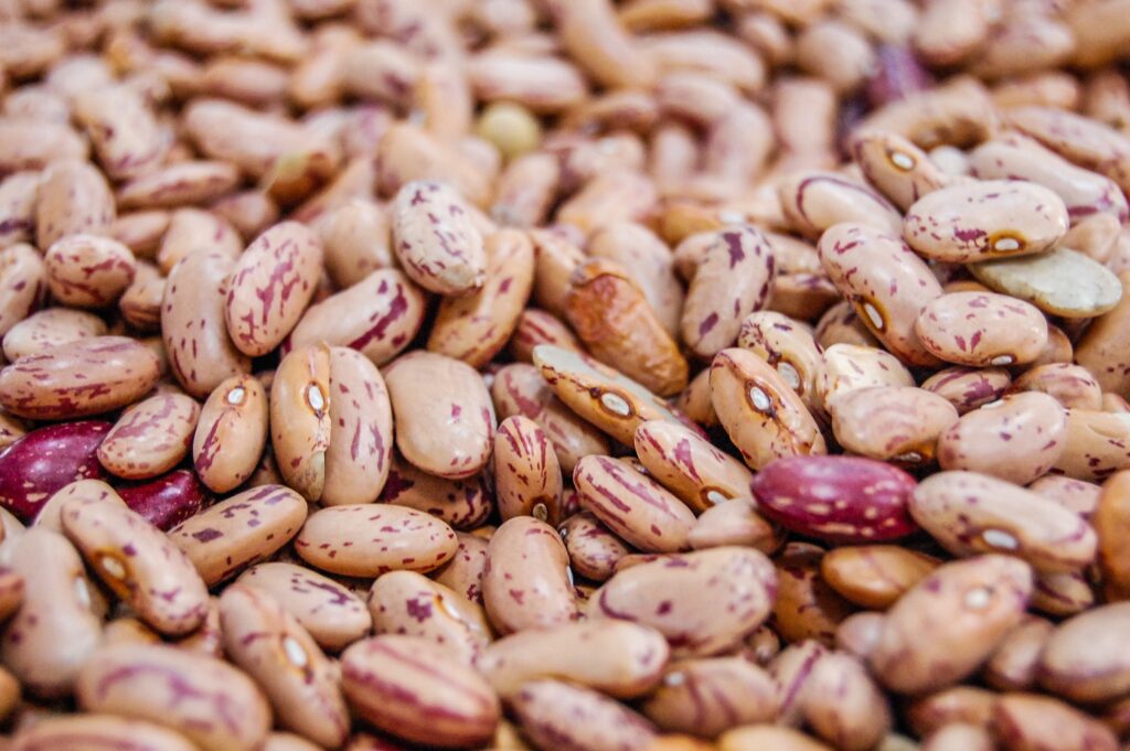 Fiber in pinto beans for weight loss