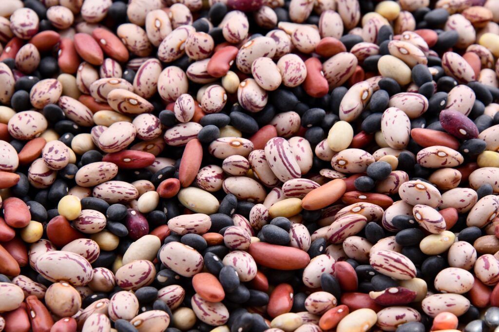 Pinto beans vs other beans for weight loss