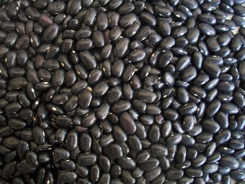 Black beans as legume for weight loss