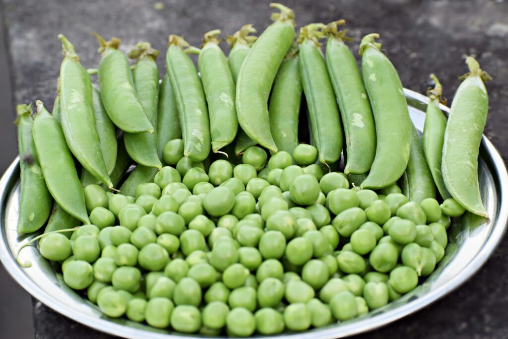 Plate of green peas