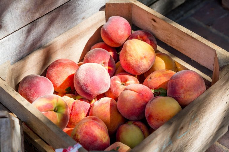 Are Peaches Keto-Friendly (& Substitutes)