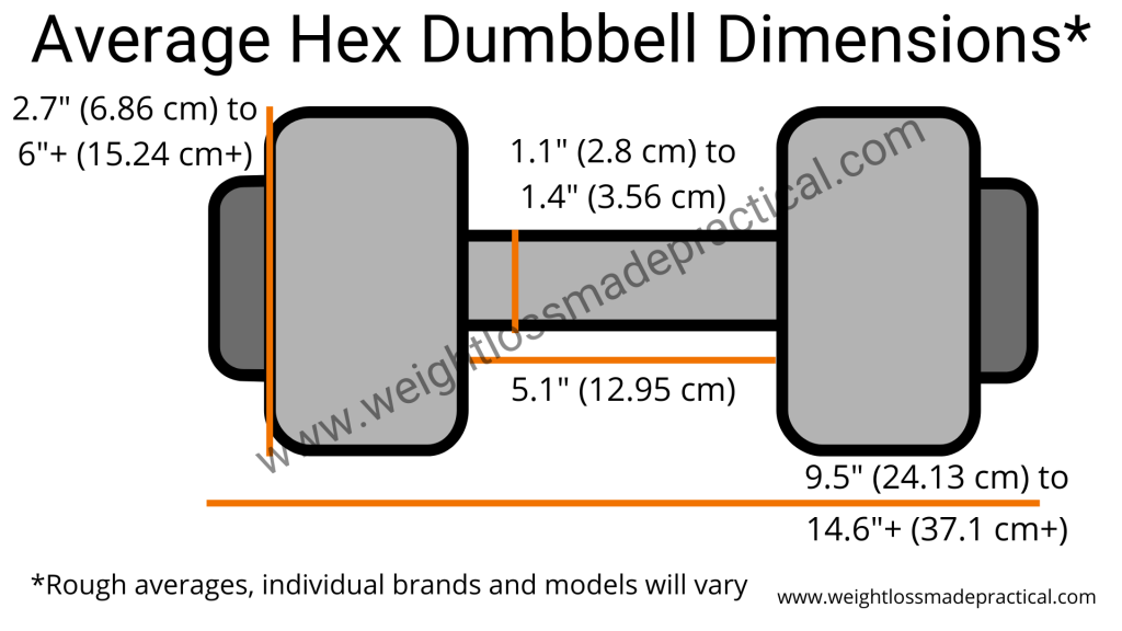 Average hex dumbbell dimensions infographic
