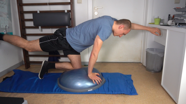 Bosu Bird Dogs How To, Muscles Worked,...