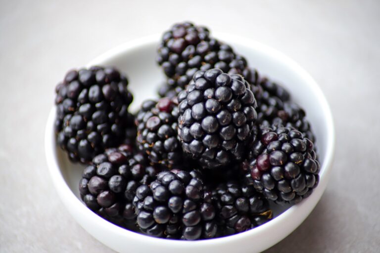 Are Blackberries Keto-Friendly