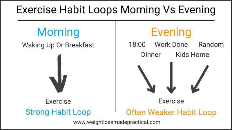 Exercise Habit Loops Morning Vs Evening