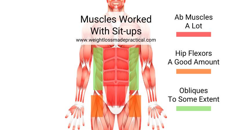 Muscles Worked With Sit-ups